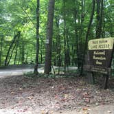 Review photo of Redd Hollow by Shelly S., September 26, 2016