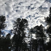 Review photo of White Spar Campground by Stacy G., October 2, 2019