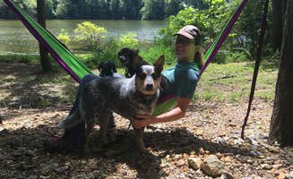 Shelly S.'s photo of camping with pets at Redd Hollow near Dresden, TN