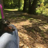 Review photo of Redd Hollow by Shelly S., September 26, 2016