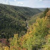 Review photo of Blackwater Falls State Park Campground by Tonya G., October 2, 2019