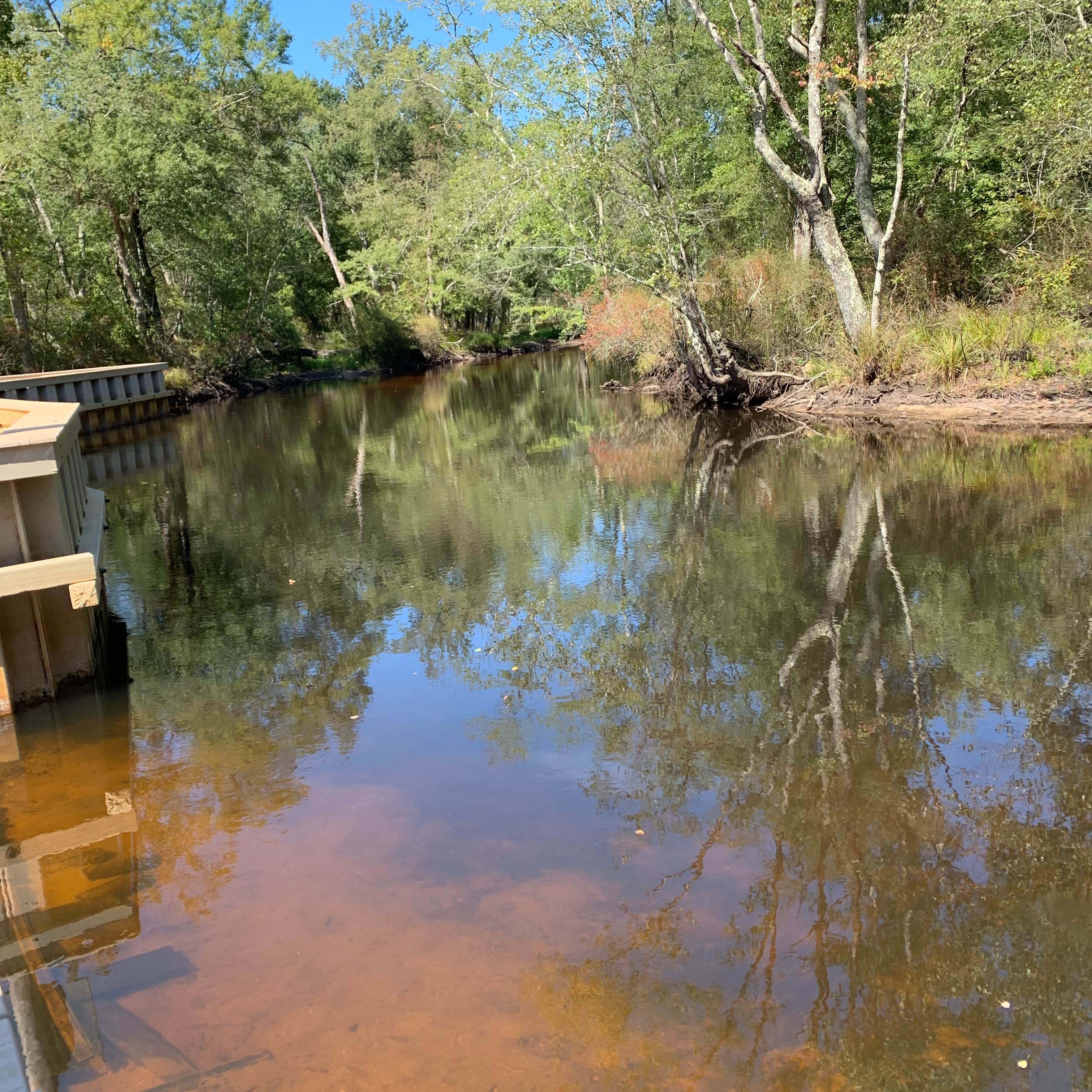 Escape to Nature: Your Guide to Winding River Campground, NJ