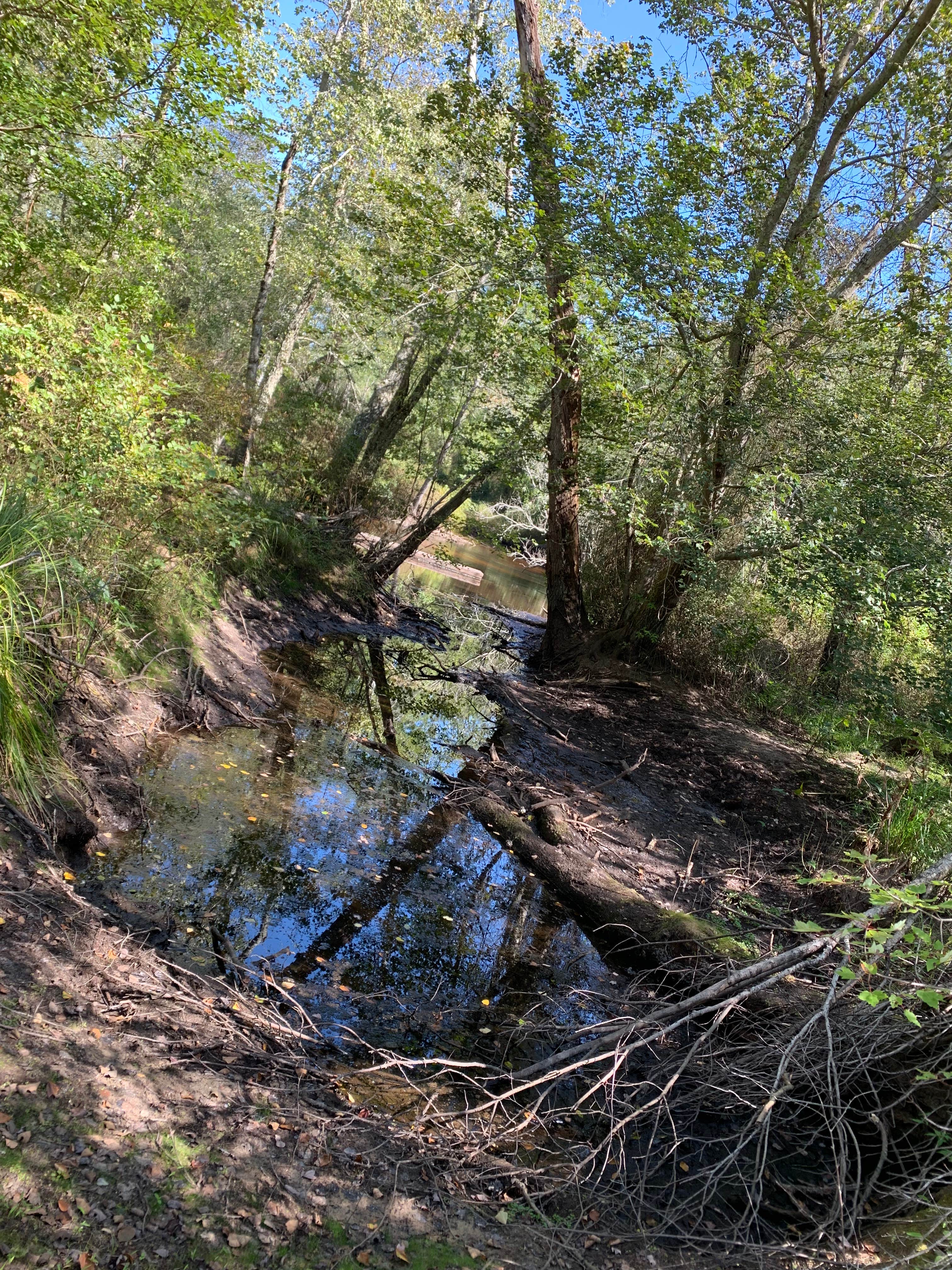 Camper-submitted photo at Winding River Campground near Hammonton, NJ