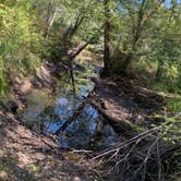 Review photo of Winding River Campground by Michelle F., October 2, 2019