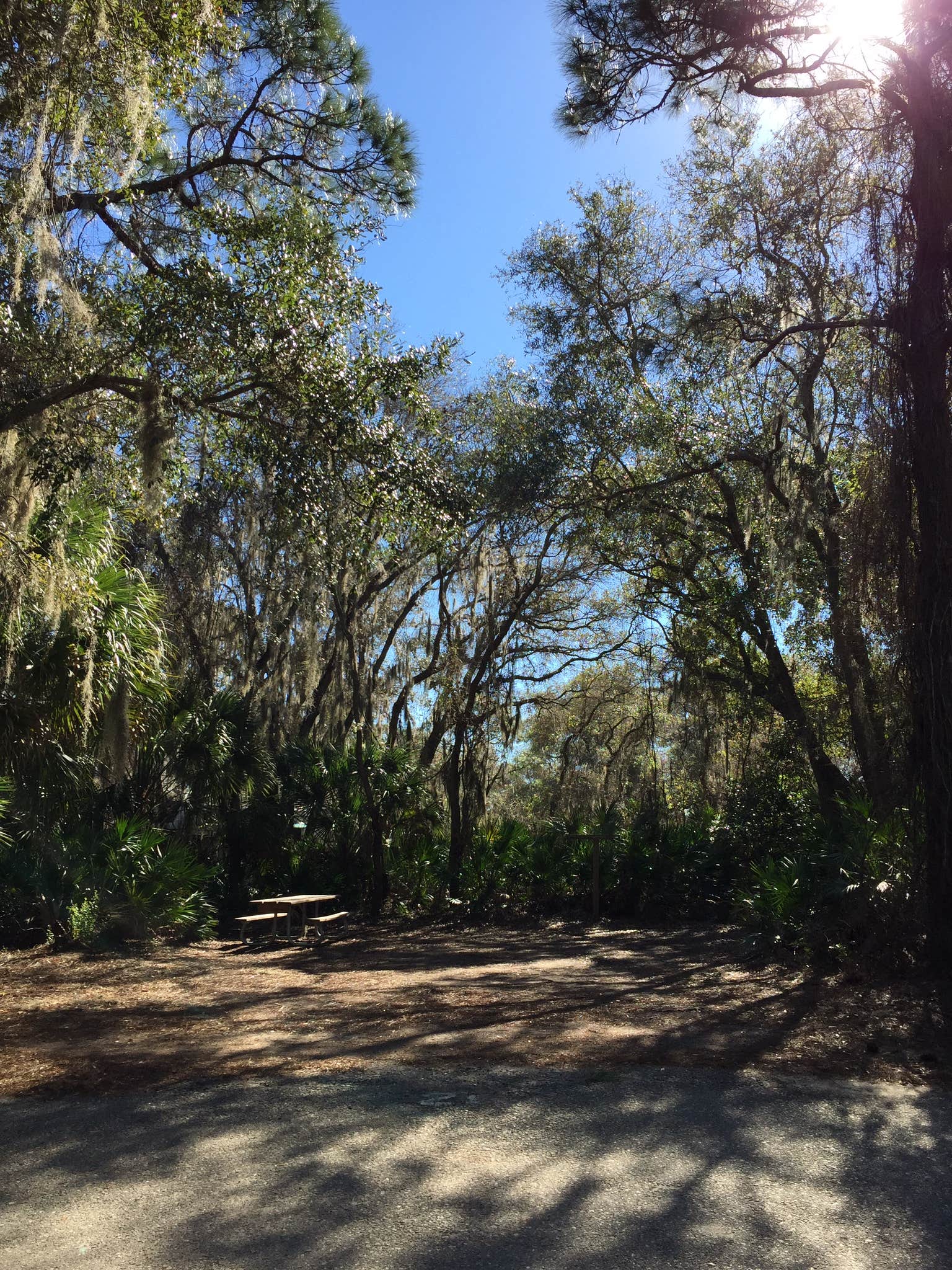 Oscar Scherer State Park Campground | Osprey, FL