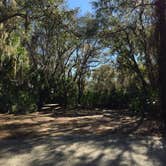 Review photo of Oscar Scherer State Park Campground by Georgette O., June 29, 2016