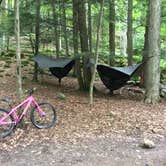 Review photo of Daisy Field Campground — Potawatomi State Park by Dan C., October 3, 2019