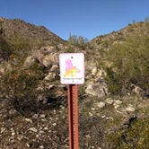 Review photo of White Tank Mountain by Ellen W., October 3, 2019