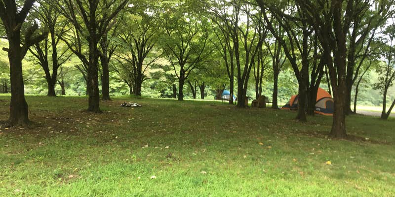 Camper submitted image from Walnut Creek Marina