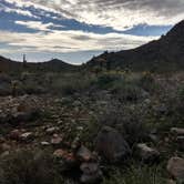 Review photo of White Tank Mountain by Ellen W., October 3, 2019