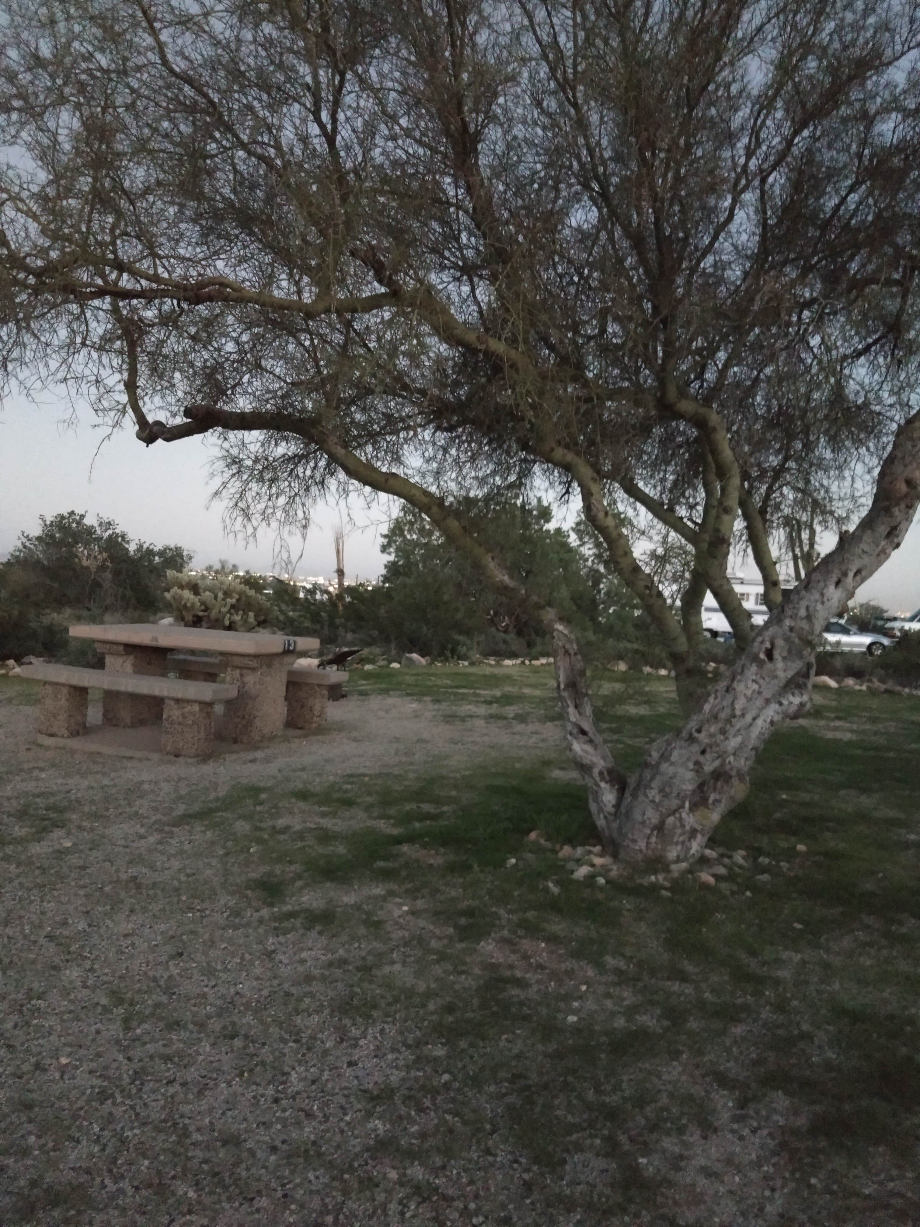 Site 13