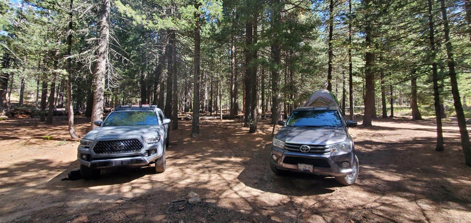 Aaron O.'s photo at Riggs Flat Campground near Willcox, AZ