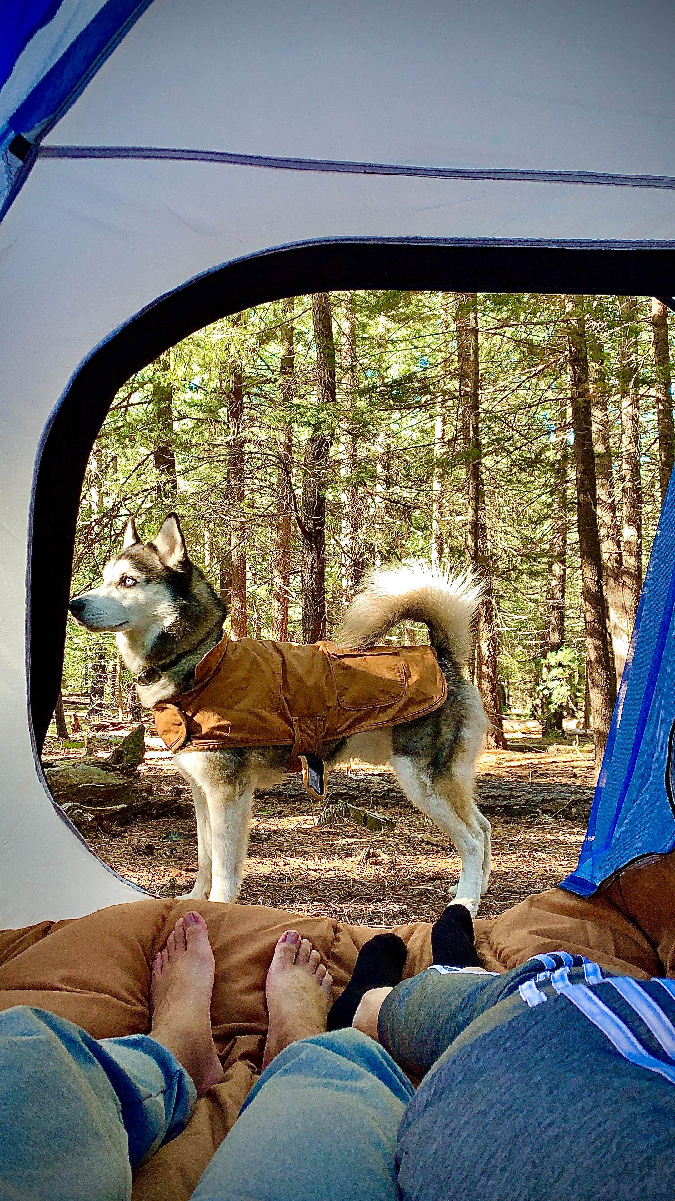 Aaron O.'s photo at Riggs Flat Campground near Pima, AZ