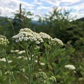 Review photo of Loft Mountain Campground — Shenandoah National Park by RL , September 23, 2019