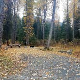 Review photo of Bertha Creek Campground — Chugach National Forest by Shadara W., October 3, 2019