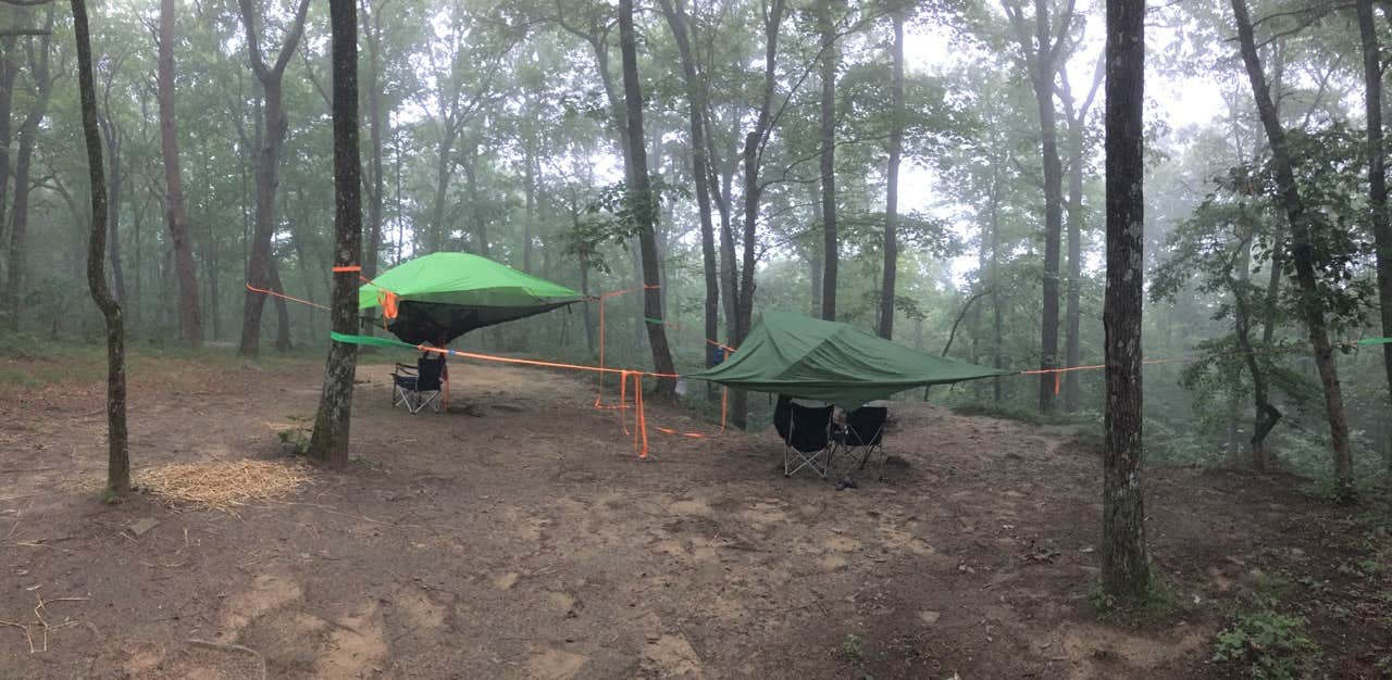 Asher K.'s photo at DeSoto State Park Campground near Menlo, GA