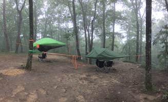 Asher K.'s photo at DeSoto State Park Campground near Menlo, GA