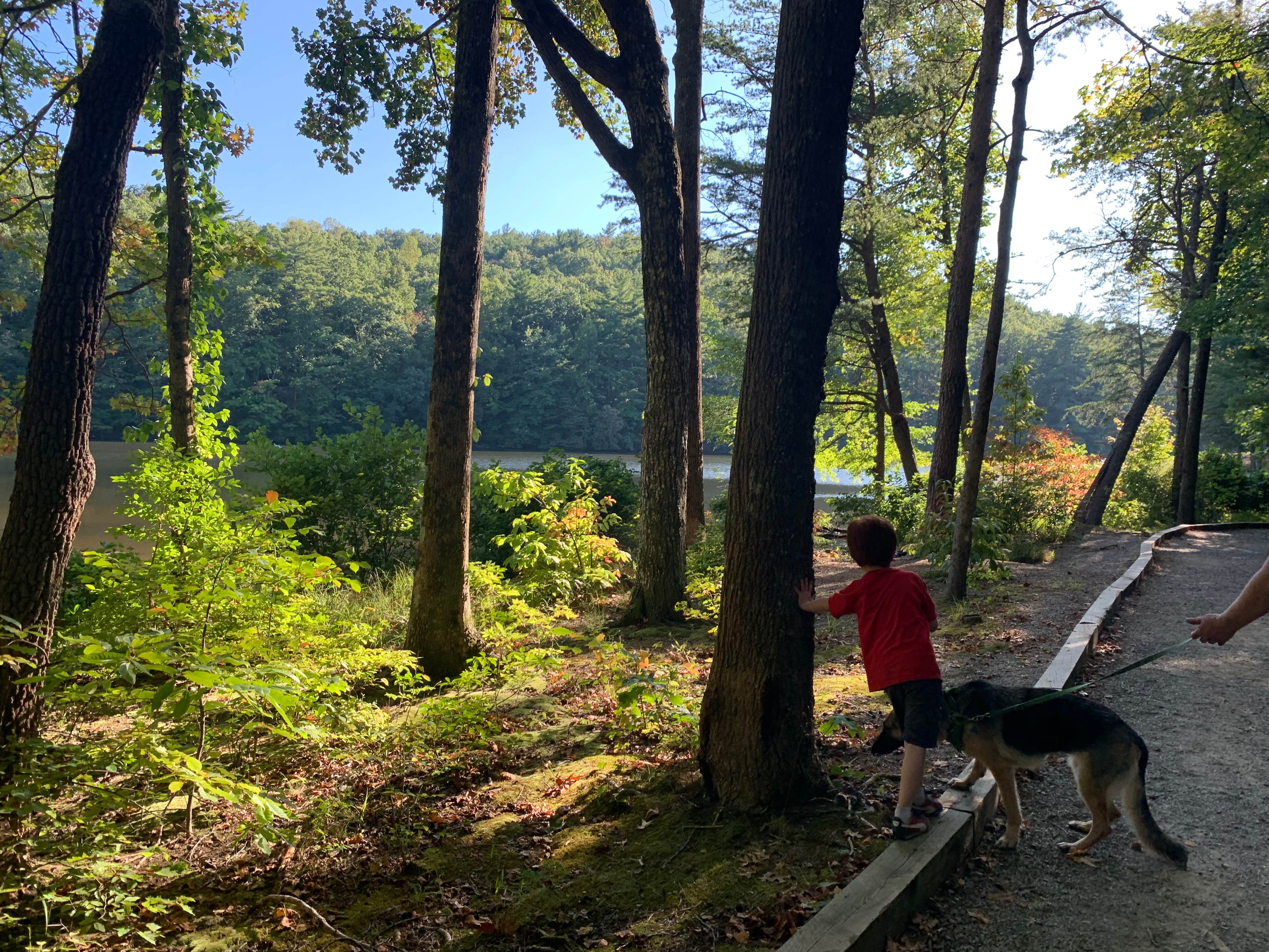 Alyson B.'s photo of camping with pets at Fort Mountain State Park Campground near Apison, TN