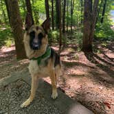 Review photo of Fort Mountain State Park Campground by Alyson B., October 3, 2019