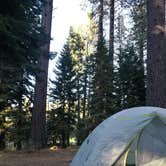 Review photo of Fallen Leaf Campground - South Lake Tahoe by Mo F., October 3, 2019