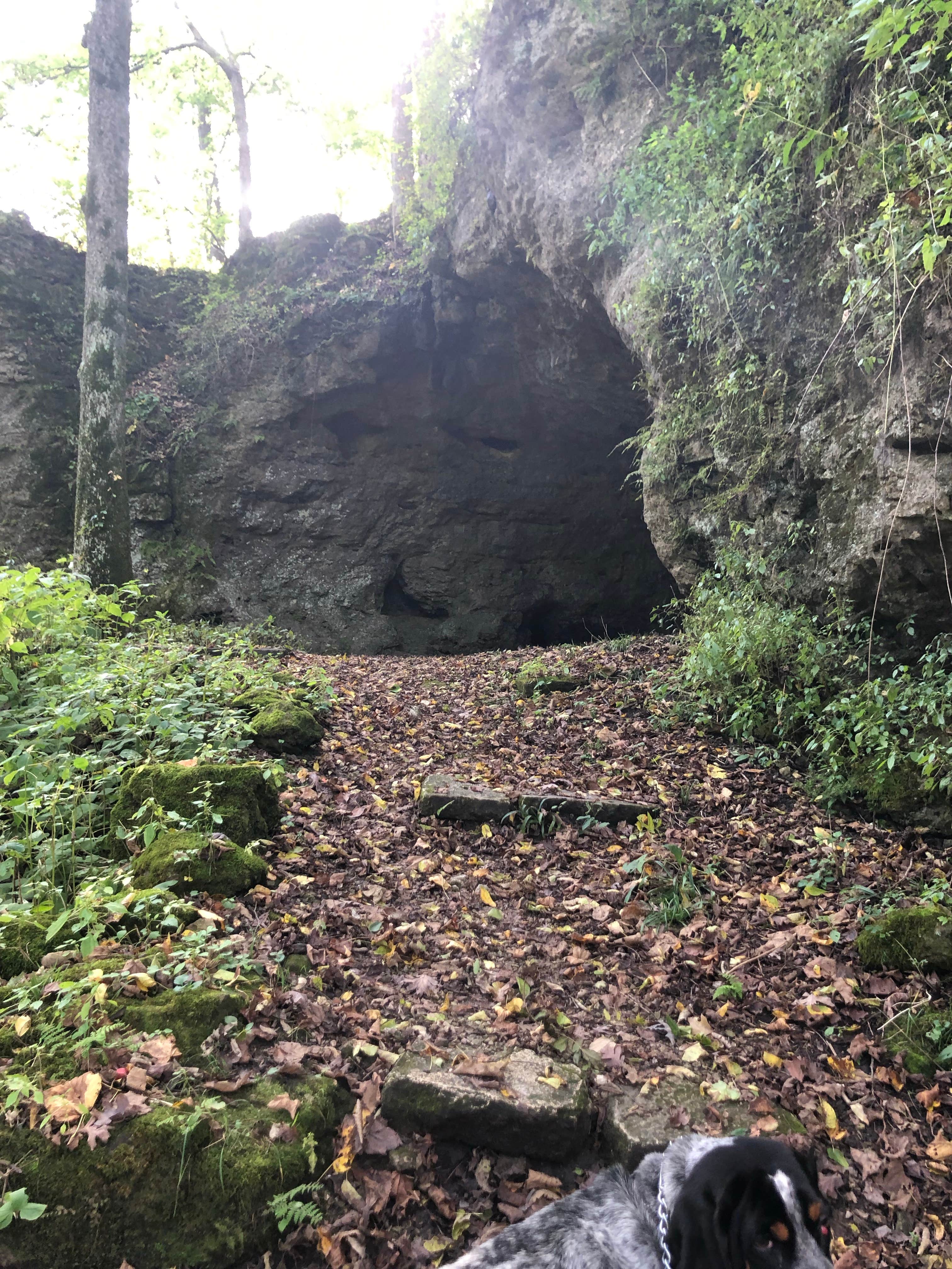 Sara S.'s photo of camping with pets at Wapsipinicon State Park Campground near Independence, IA