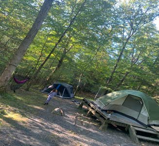 Camper-submitted photo from Steam Mill Campground