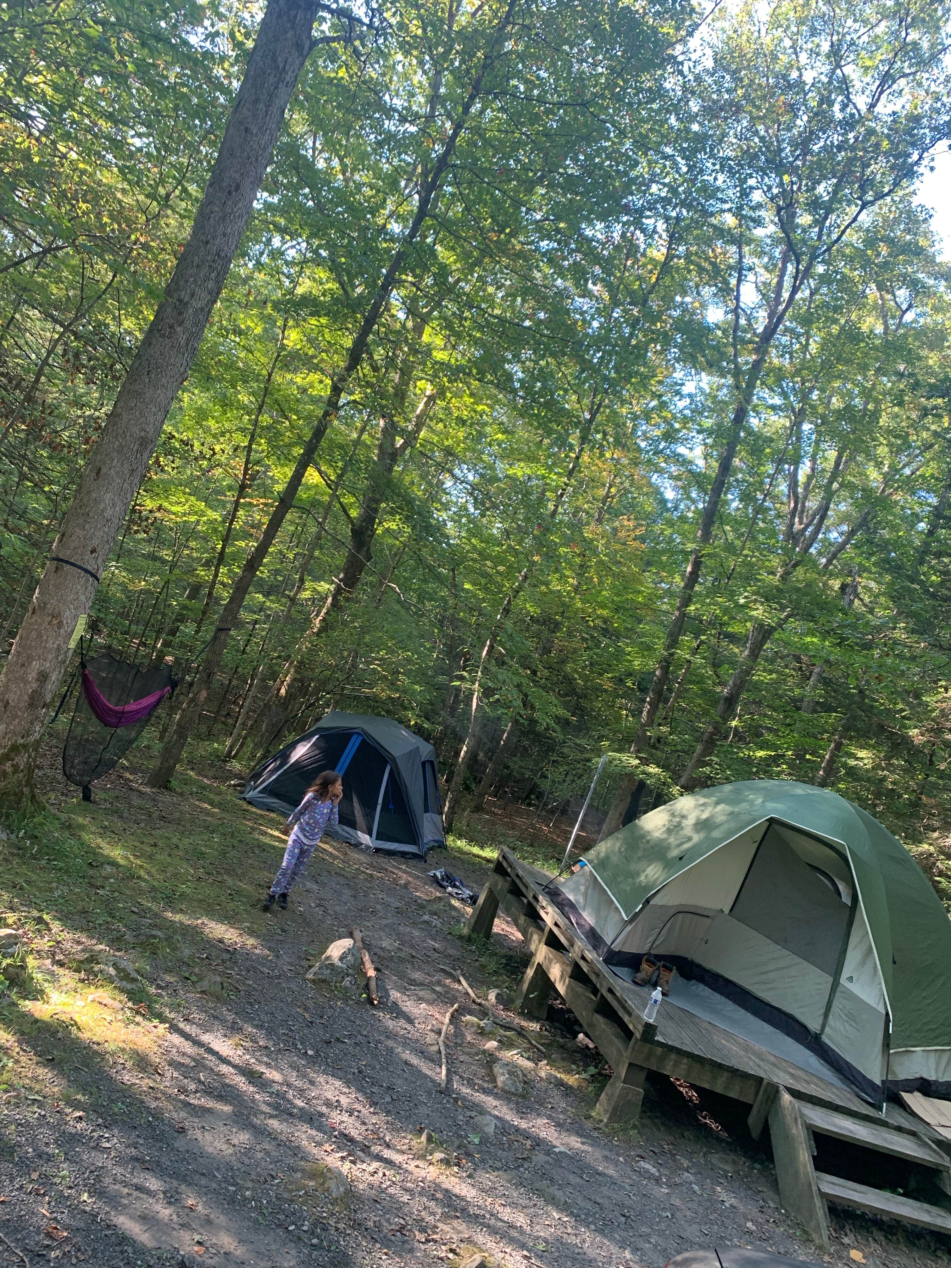 Camper submitted image from Steam Mill Campground - 2