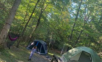 Jay M.'s photo of tent camping at Steam Mill Campground near Madison, NJ