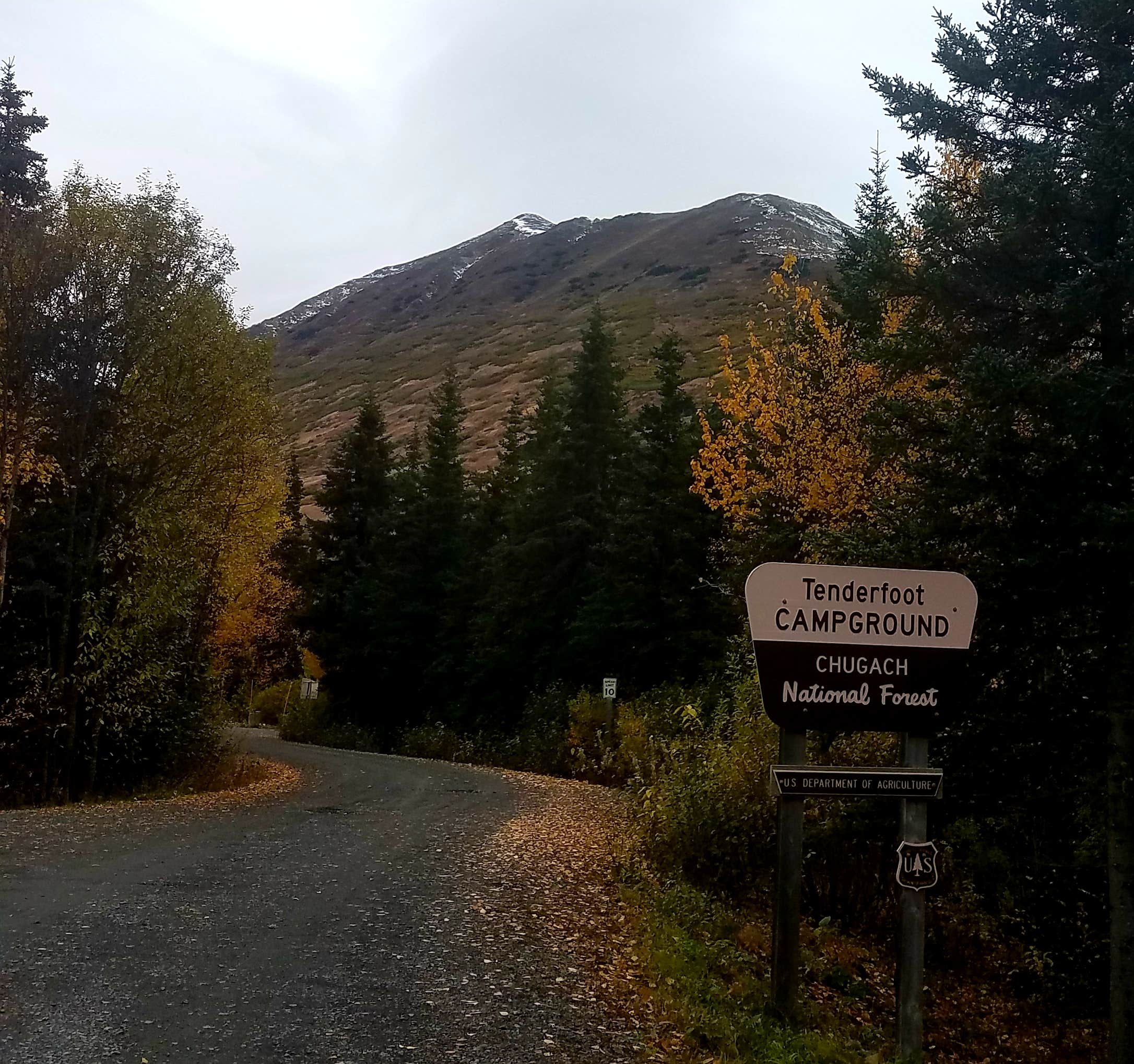 Camper submitted image from Tenderfoot Creek - 2