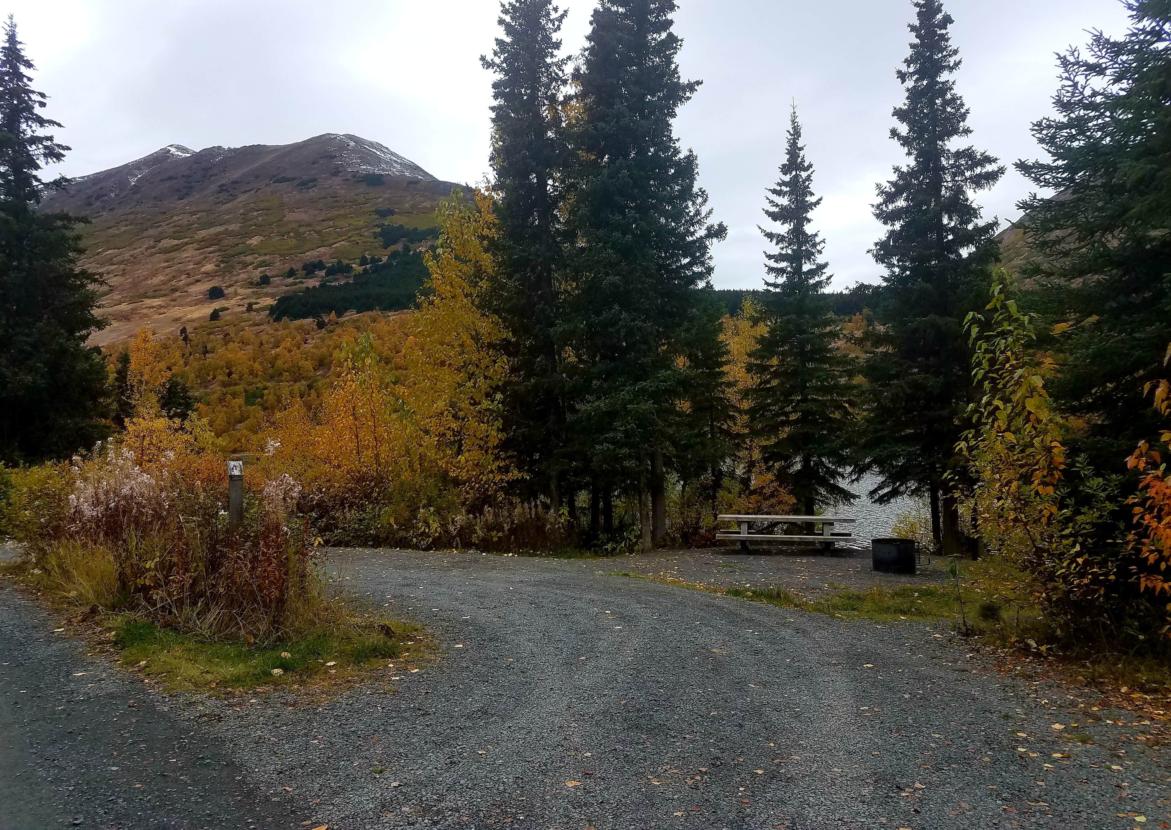Camper submitted image from Tenderfoot Creek - 4