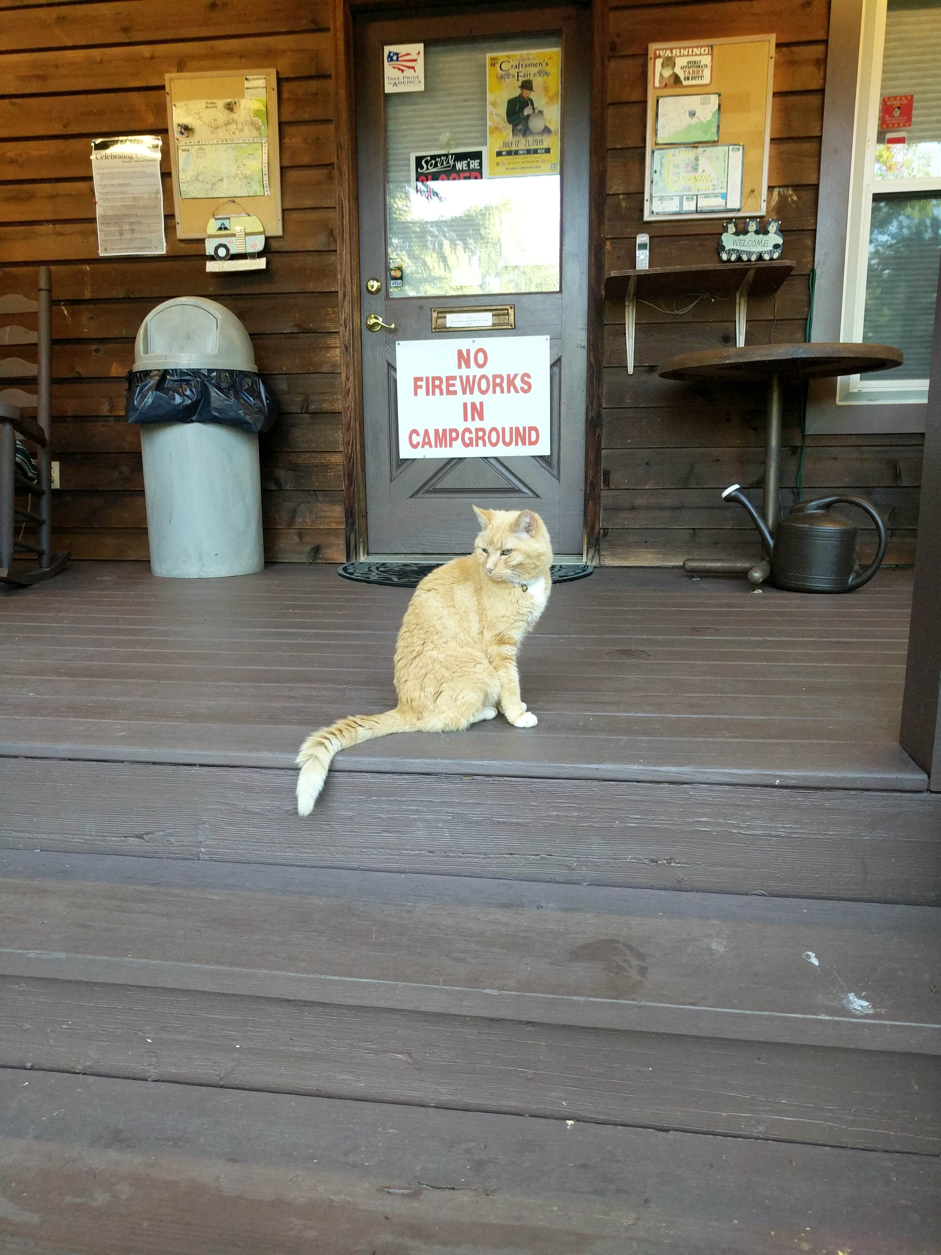 Susan S.'s photo of camping with pets at Smoky Bear Campground near Gatlinburg, TN