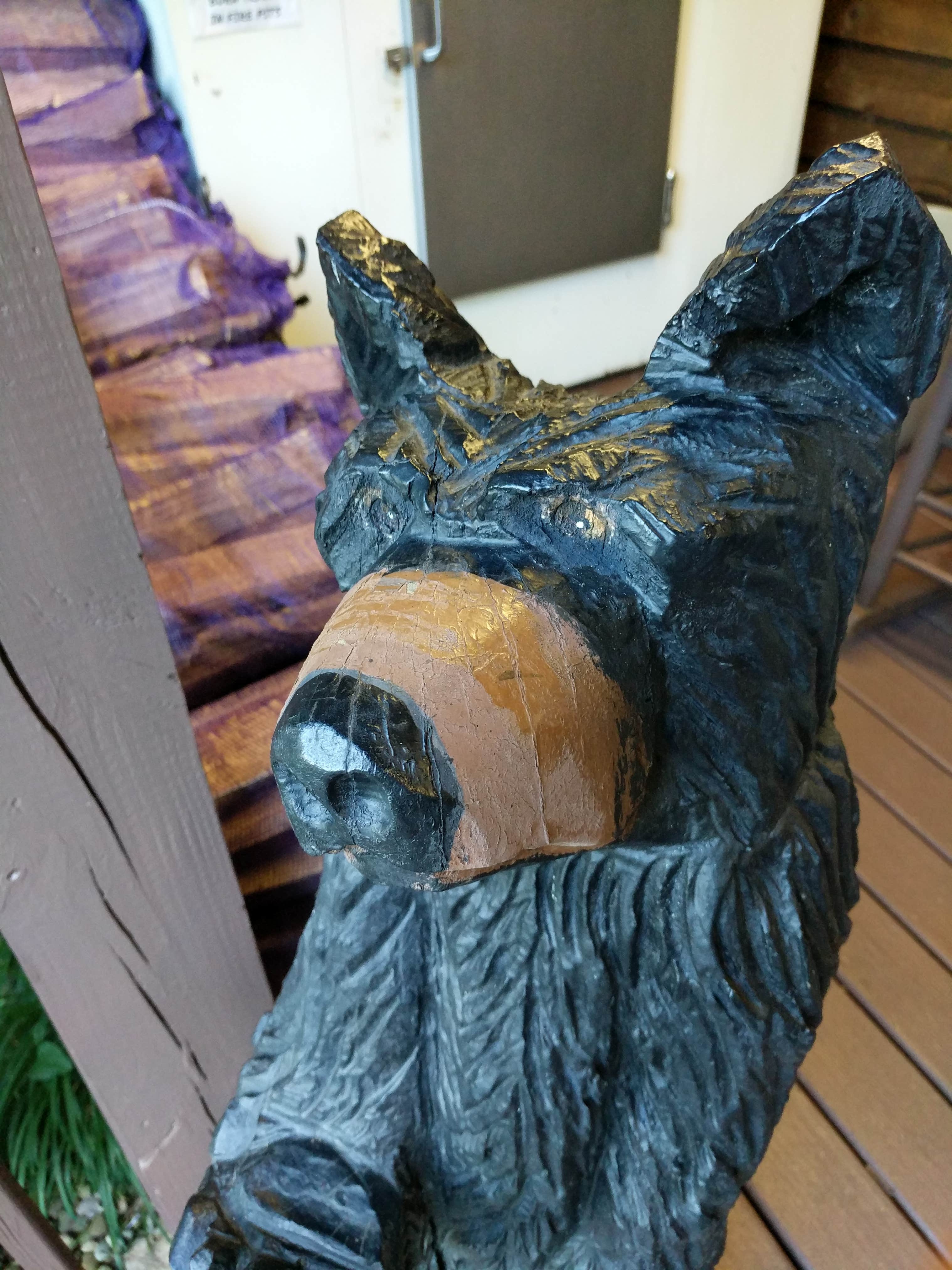 Camper-submitted photo at Smoky Bear Campground near Gatlinburg, TN