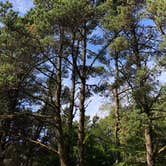 Review photo of Beverly Beach State Park Campground by Amy B., October 4, 2019