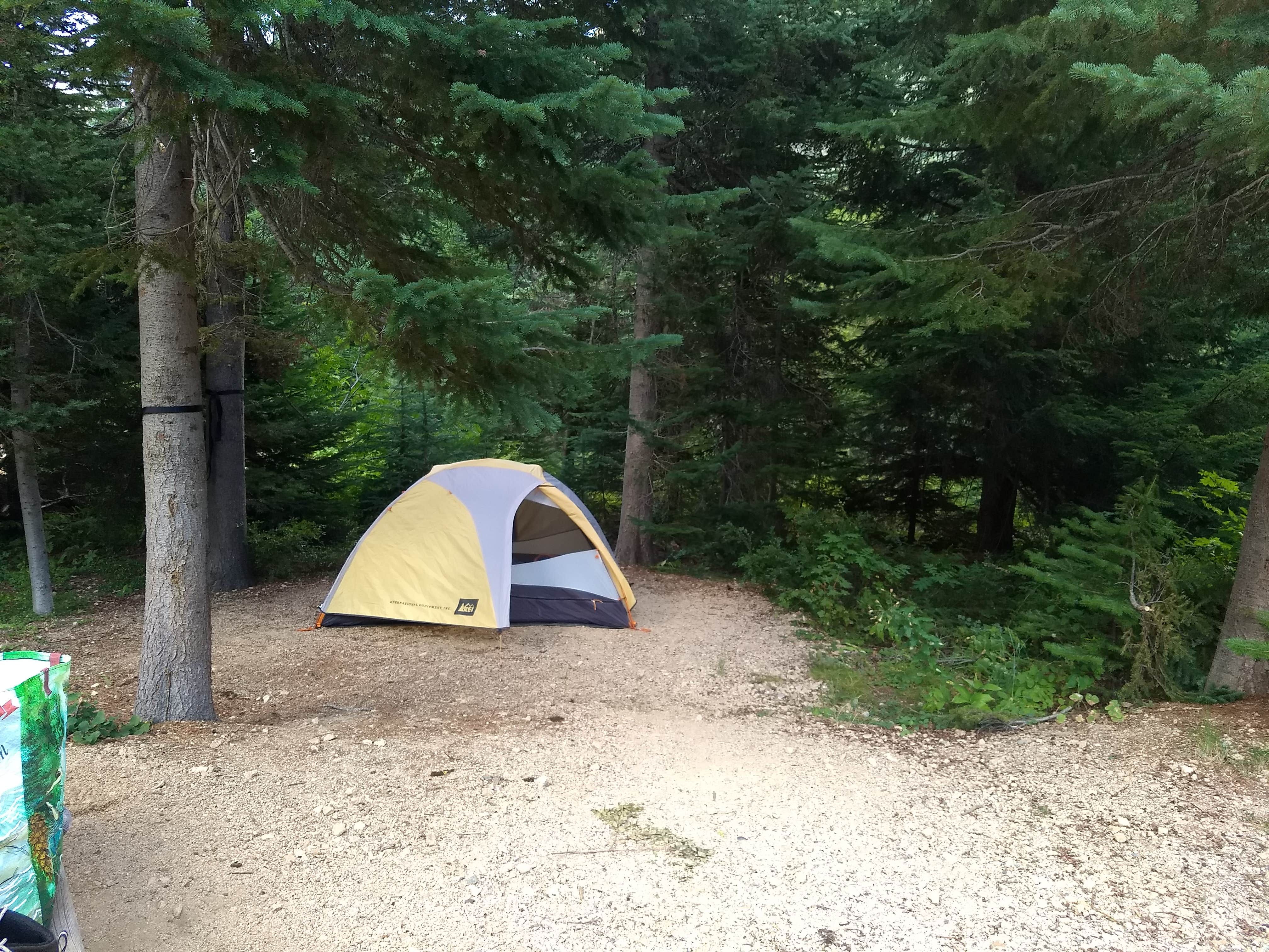 Danielle S.'s photo at Lone Fir Campground near Lake Chelan National Recreation Area