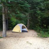 Review photo of Lone Fir Campground by Danielle S., October 4, 2019