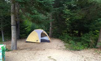 Danielle S.'s photo at Lone Fir Campground near North Cascades National Park