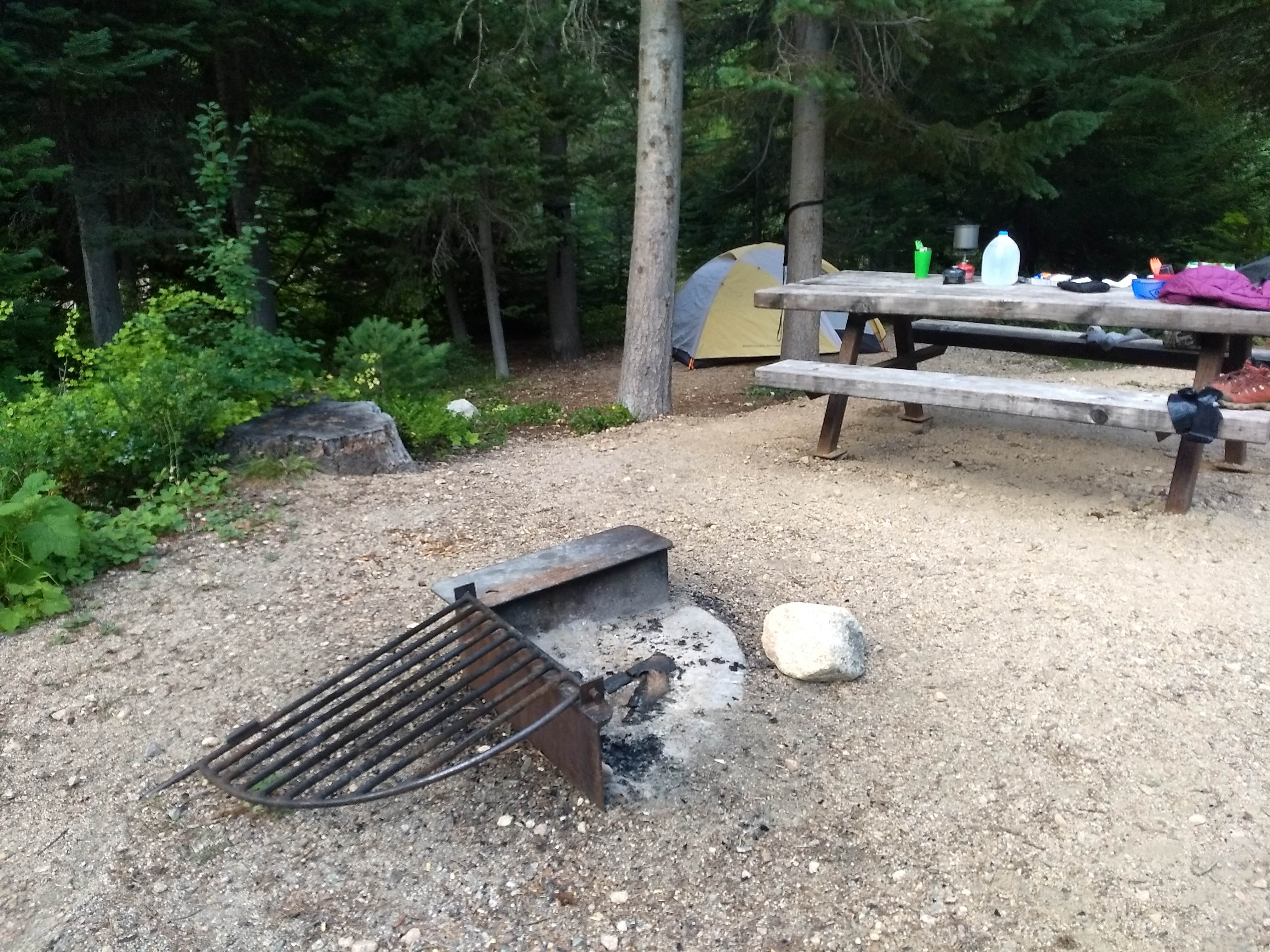 Camper-submitted photo at Lone Fir Campground near Stehekin, WA