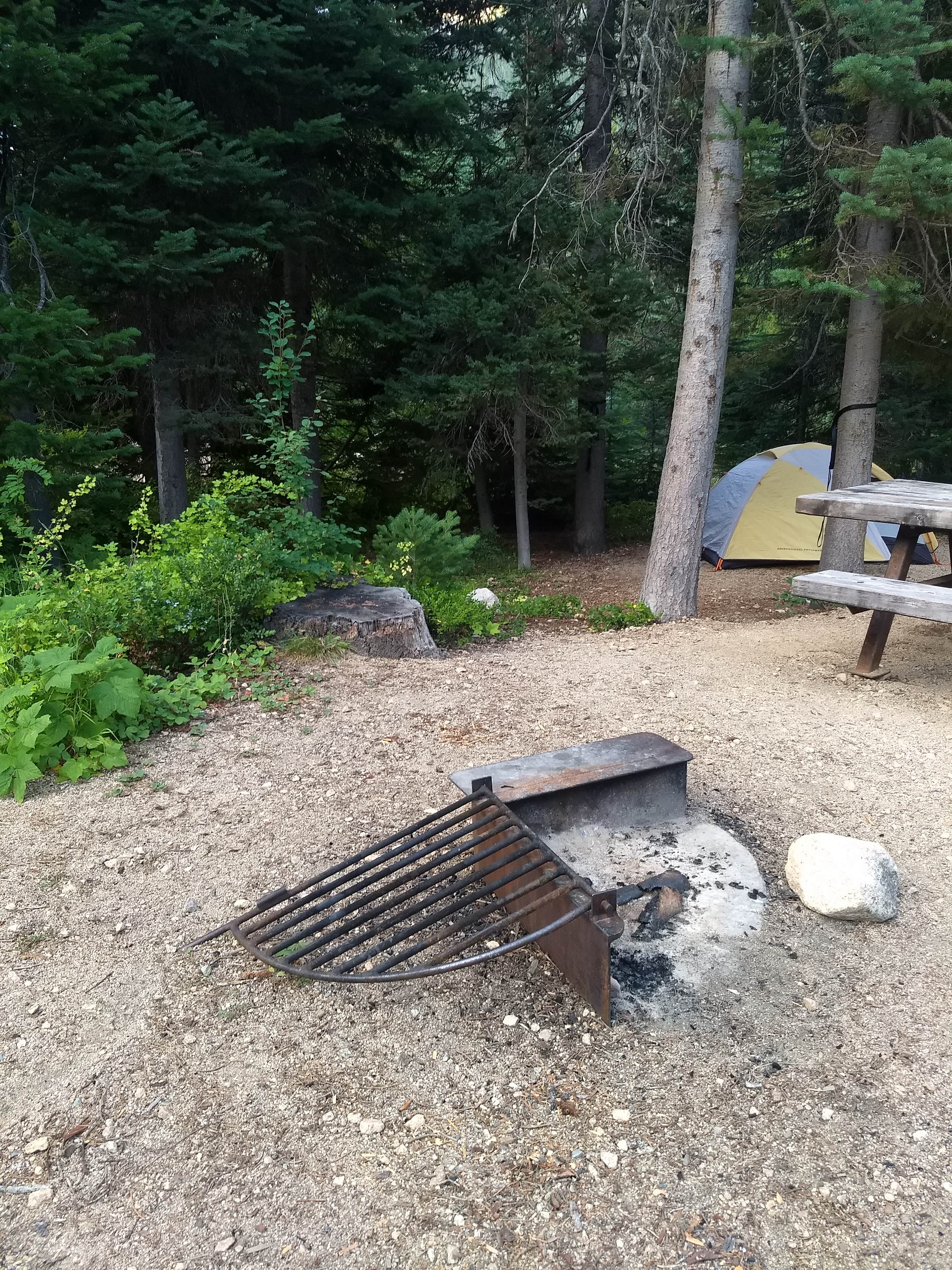 Danielle S.'s photo at Lone Fir Campground near Lake Chelan National Recreation Area