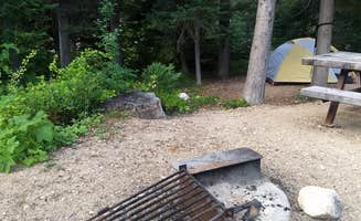 Danielle S.'s photo at Lone Fir Campground near North Cascades National Park