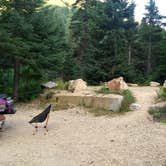 Review photo of Lone Fir Campground by Danielle S., October 4, 2019