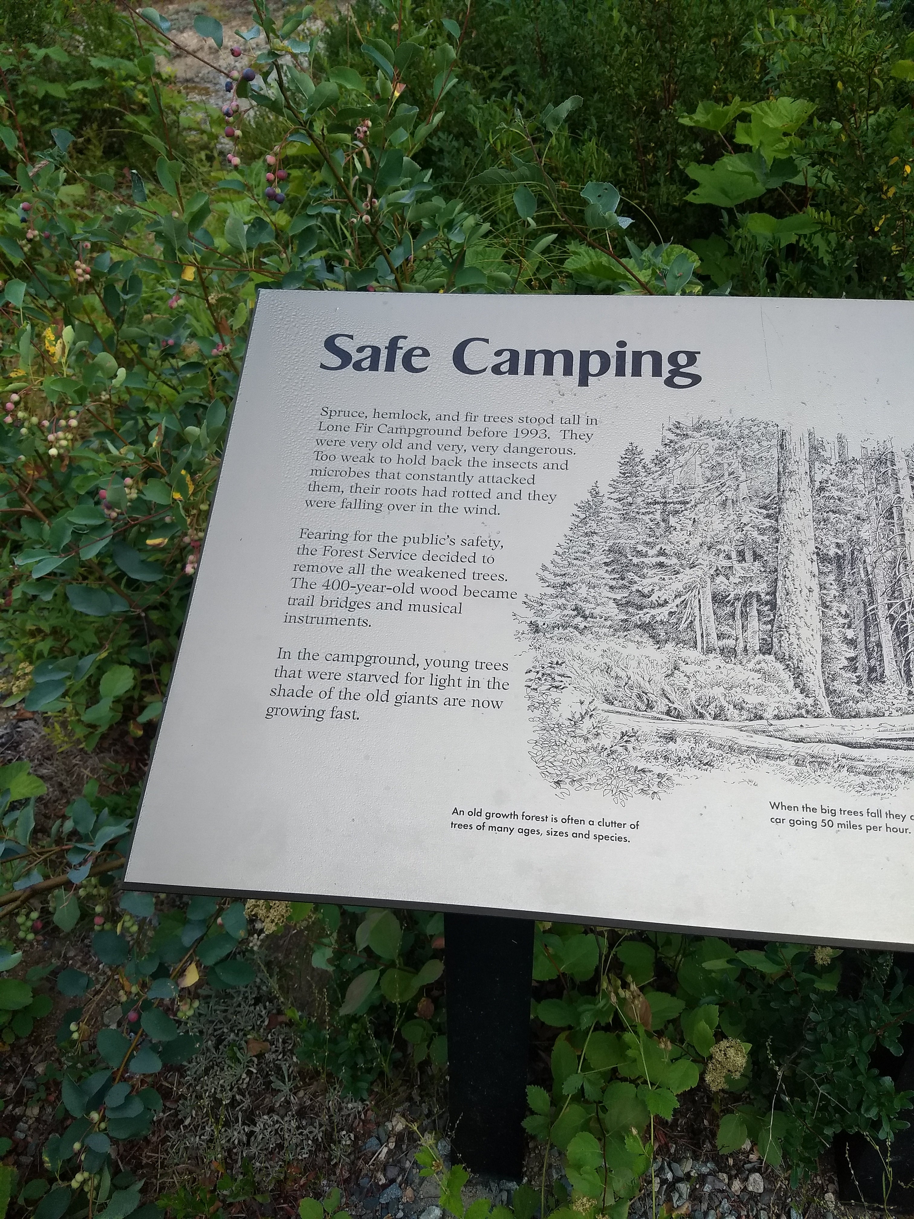The campground had some of these informative signs.