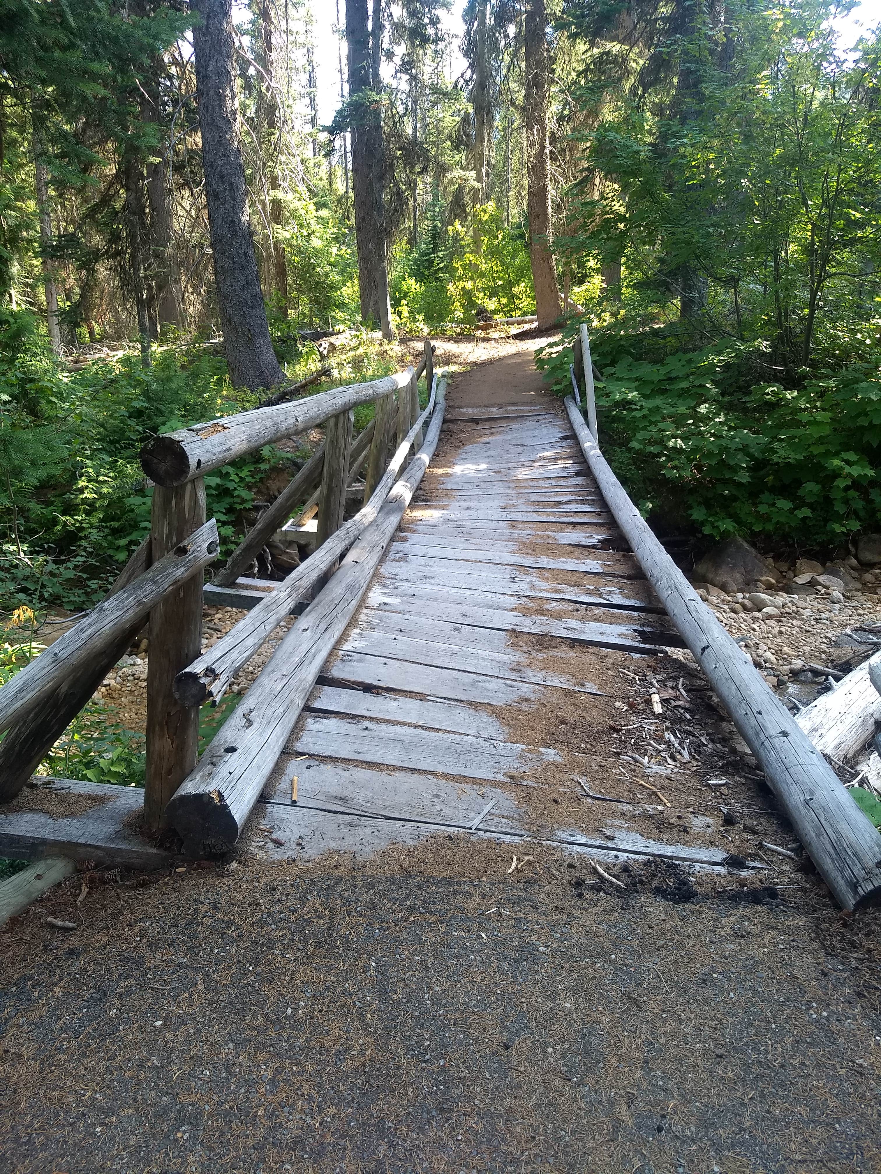 Camper-submitted photo at Lone Fir Campground near Stehekin, WA