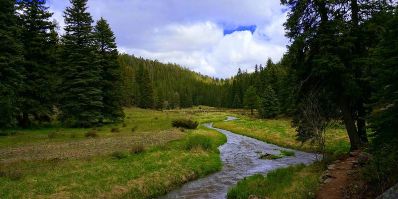 Camper submitted image from Holy Ghost Campground