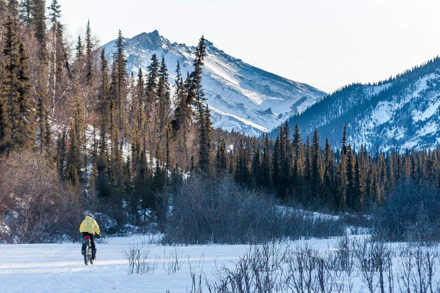 Camper submitted image from White Mountains National Recreation Area - Alaska Cabins - 3