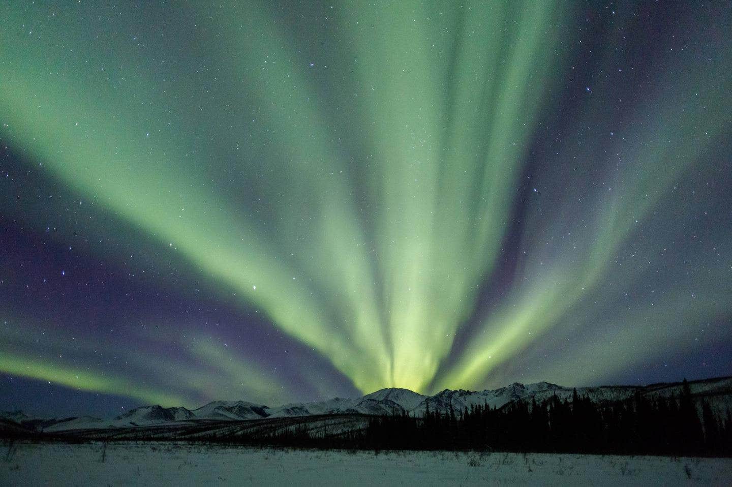 Camper submitted image from White Mountains National Recreation Area - Alaska Cabins - 1