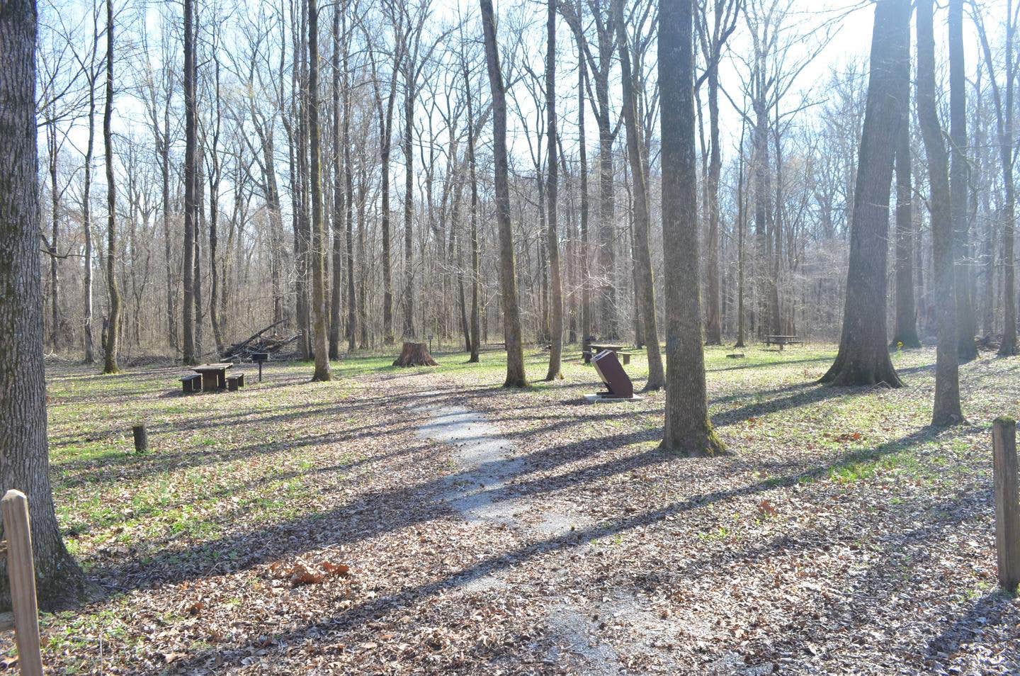 Camper submitted image from Delta National Forest - Camping - 3