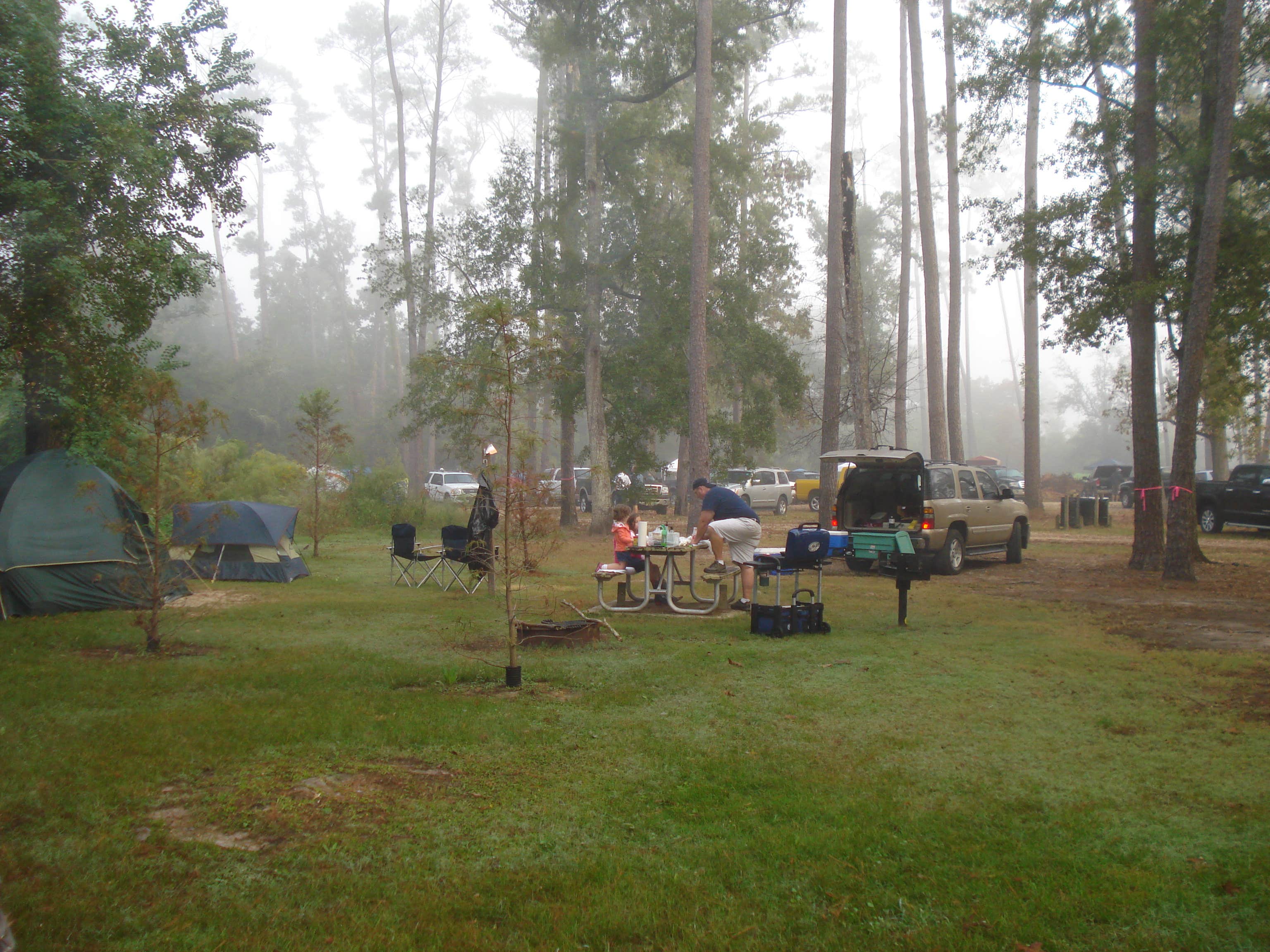 Camper submitted image from Fairview-Riverside State Park - 4