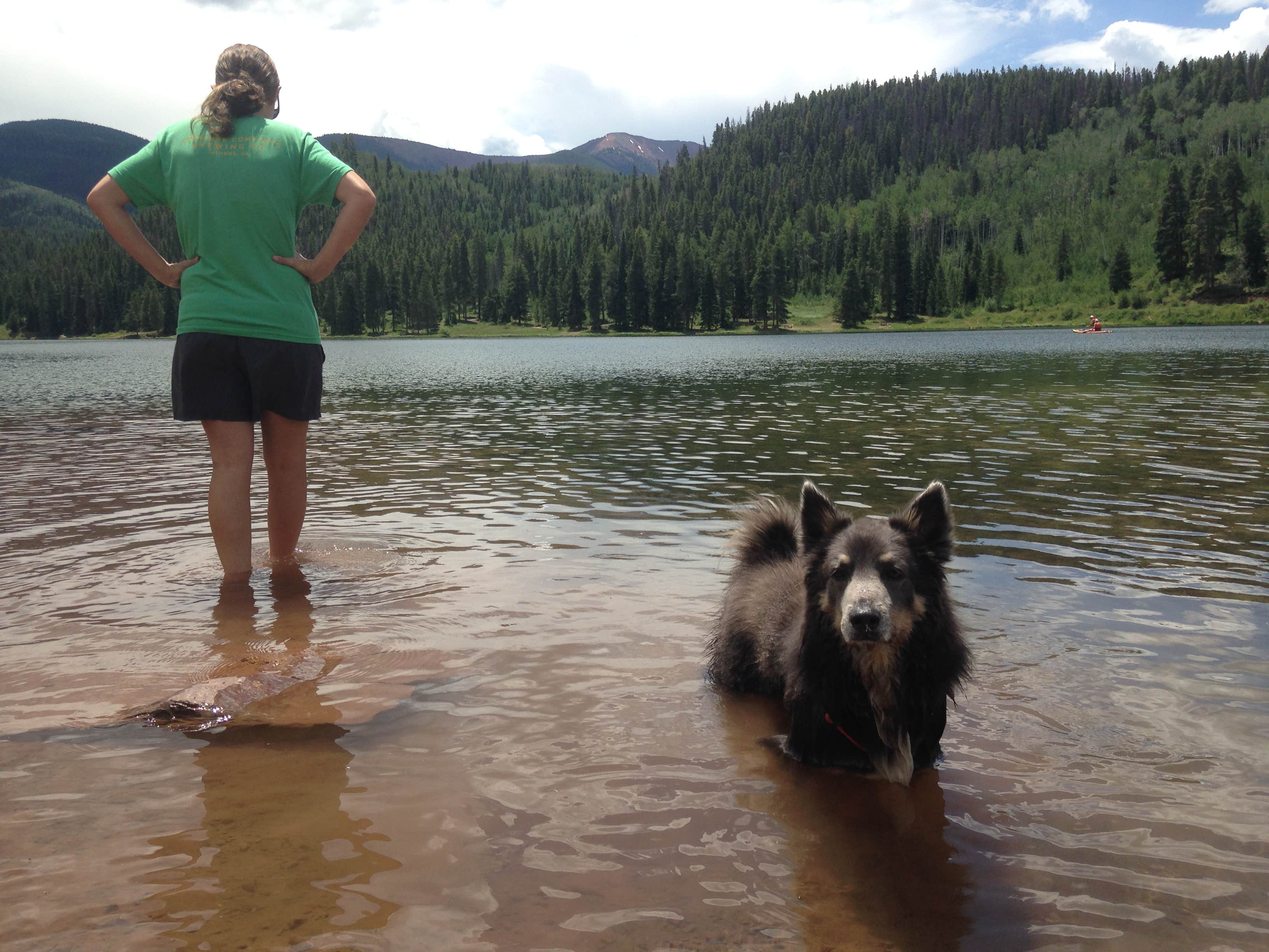Fain H.'s photo of camping with pets at Sylvan Lake Campground — Sylvan Lake State Park near Aspen, CO