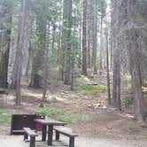Review photo of Sierra National Forest Rancheria Campground by Nathan M., August 14, 2017