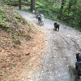 Review photo of Fenton Lake Access - DFWR by Shelly S., August 14, 2017